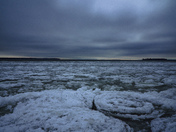 Curly Ice 