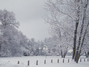 Winter wonderland 