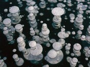 Methane Bubbles 