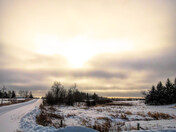 Winter in the Prairies