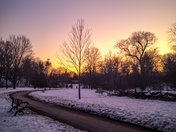 Nature walks in winter