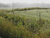Dunrobin, 2012