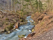 Spencer creek gorge in thew winter