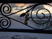 Misty Morning at The Falls