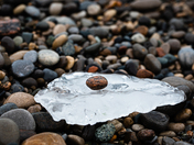 A tiny rock precariously perched on ice