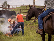 Branding Day on the Ranch