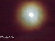 Ring Around the Moon