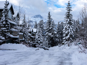 Winter in the Rockies