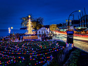 The Night Comes to Life