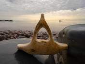 Washed up From The Bay