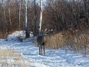 Just a little Curious