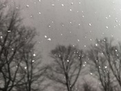 Intricate Snowflakes 