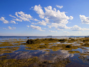 Low Tide