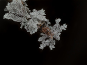Hoar Frost Magic
