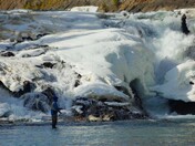 banff fisherman