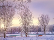 Snowy Winter Park Glow