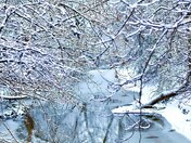 No winter blues here