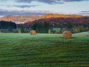 Autumn time