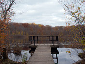 Westminster Ponds in the fall