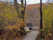 Westminster Ponds in the fall