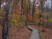 Westminster Ponds in the fall