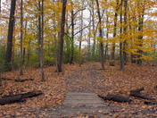 Westminster Ponds in the fall