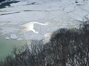 Icy Niagara River