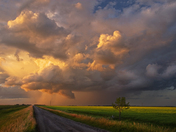 The Road to Light