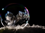 Frozen 