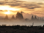Mount Baker in the fog