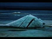 Ice floats 