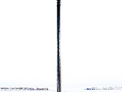 Icy Lamp Post 