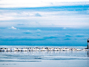 Icy East Pier 