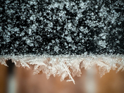 Frost