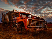 a truck in a field