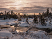 Winter Sunrise