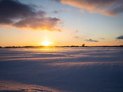 Winter Storm Aftermath