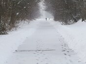 Olympic Torch Legacy Run Trail