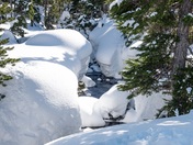 Winter in the Mountains