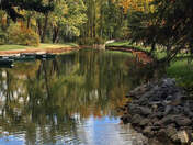 Autumn Reflection At The Park