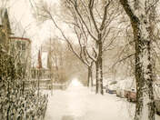 Winter Wonderland In Calgary 