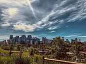 The Sky Caught My Eye 