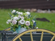 A Bird Enjoying the Day