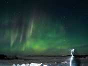 Sask Aurora