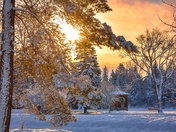 Winter Sunrise Glowing Over A Snowy Park