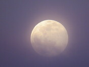 The Foggy Moon