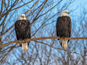 chilling on a cold day