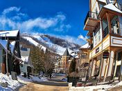 Blue Mt Village