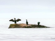 Three states of mind