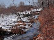 The Beautiful Wilderness & Its Seasons 